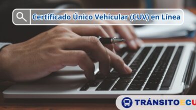 Como-Obtener-el-Certificado-Unico-Vehicular-CUV-en-Linea